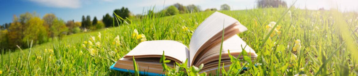 Lecture en plein air
